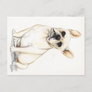 Cartão Postal Cartão-postal francês Buldogue Dog Art