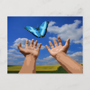 Cartão Postal Cartão-postal Free Scotland Butterfly