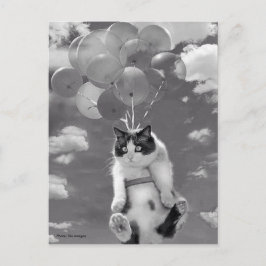 Cartão Postal Cartão-postal: Gato engraçado voando com Balões