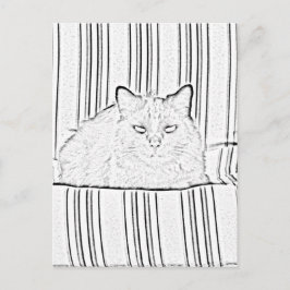 Cartão Postal Cartão-postal - Gato na Cadeira em Branco a Cor