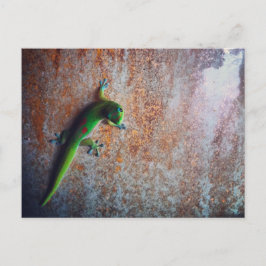 Cartão Postal Cartão-postal Gecko Verde