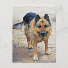 Cartão Postal Cartão-postal german shepherd