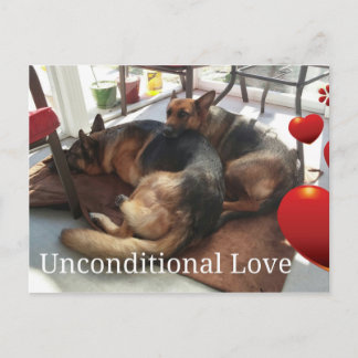 Cartão Postal Cartão-postal german shepherd