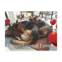 Cartão-postal german shepherd