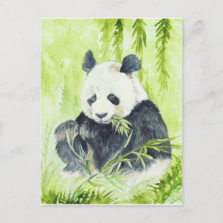 Cartão Postal Cartão-postal Giant Panda