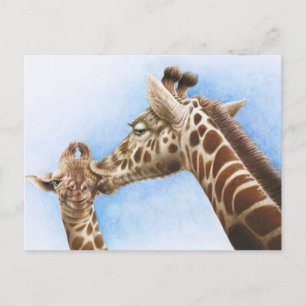 Cartão Postal Cartão-postal Giraffe e Calf