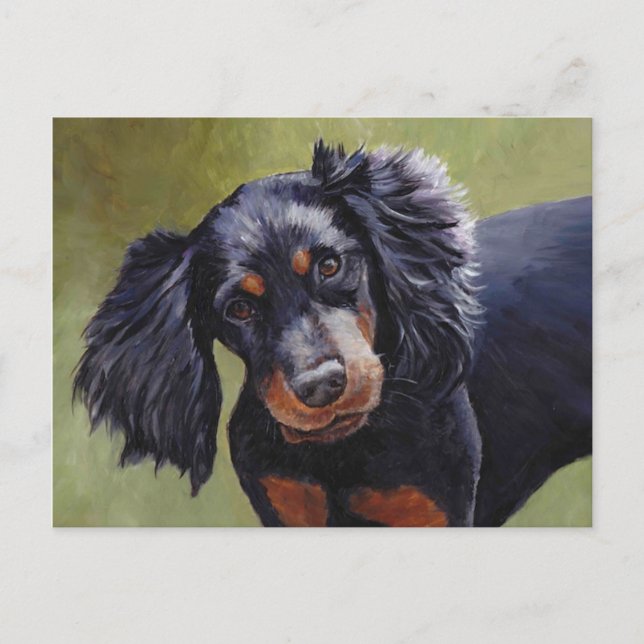 Cartão Postal Cartão-postal Gordon Setter Dog (Frente)