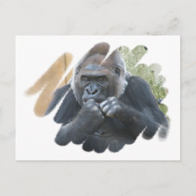 Cartão Postal Cartão-postal Gorilla Primate (Frente)