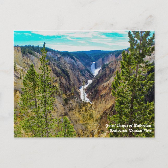 Cartão Postal Cartão-postal Grand Canyon de Yellowstone (Frente)