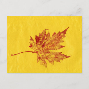Cartão Postal Cartão-postal "grande Maple amarelo"
