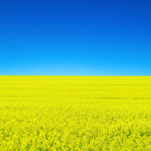 Cartão Postal Cartão-postal Guerra e Paz