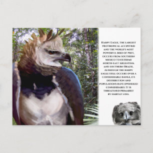 Cartão Postal Cartão-postal "Harpy Eagle"