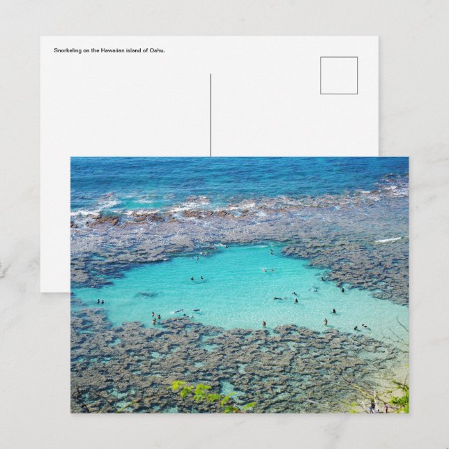 Cartão Postal Cartão-postal havaiano (Frente/Verso)