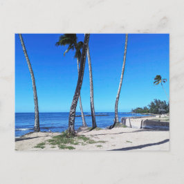 Cartão Postal Cartão-postal havaiano