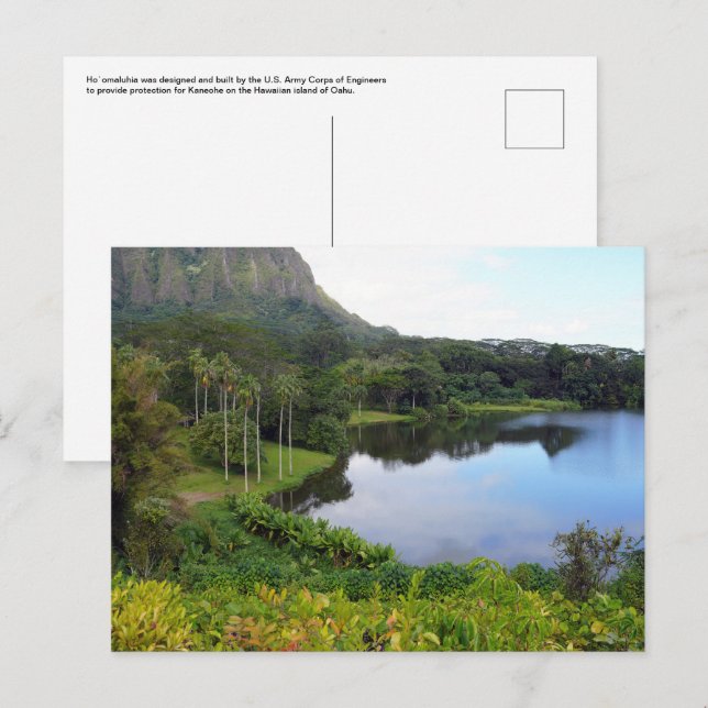 Cartão Postal Cartão-postal havaiano (Frente/Verso)