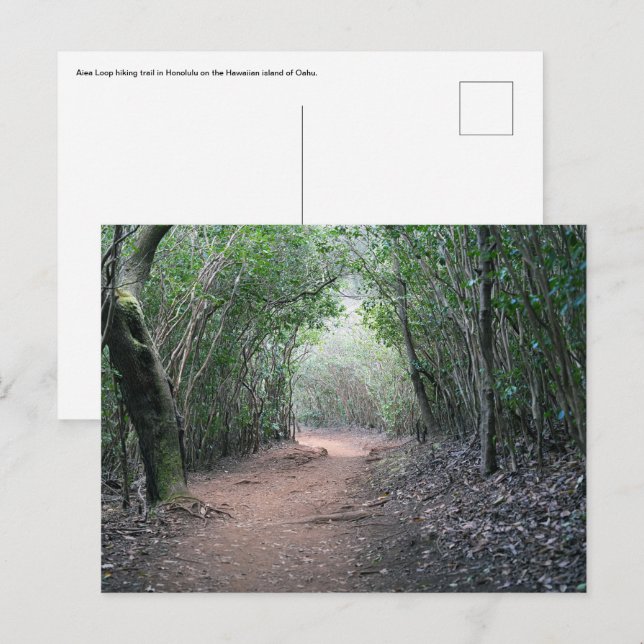 Cartão Postal Cartão-postal havaiano (Frente/Verso)
