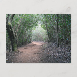 Cartão Postal Cartão-postal havaiano