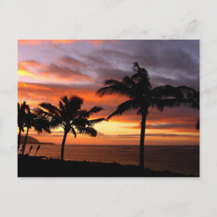 Cartão Postal Cartão-postal havaiano sunset
