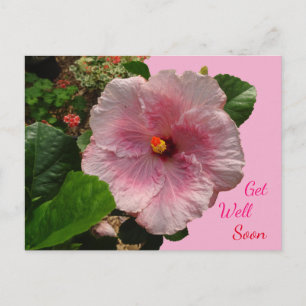 Cartão Postal Cartão-postal "Hibisco Rosa" para melhoras