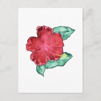 Cartão Postal Cartão-postal Hibiscus
