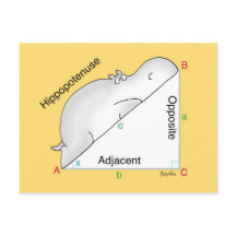 Cartão-postal HIPPOPOTENUSE por Sandra Boynton