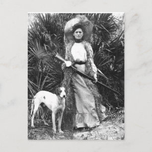 Cartão Postal Cartão-postal histórico da Flórida