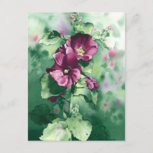 Cartão Postal Cartão-postal Hollyhocks da Dorothy 007