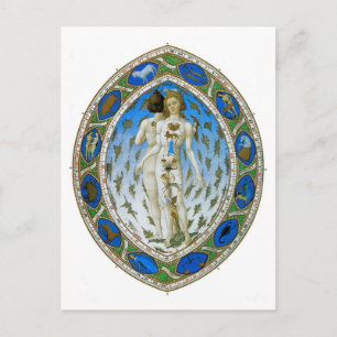 Cartão Postal Cartão-postal: Homem Anatômico