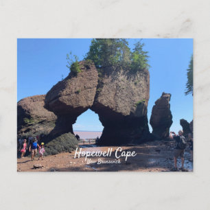 Cartão Postal Cartão-postal Hopewell Cape New Brunswick