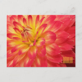 Cartão Postal Cartão-postal Horizonal Amarelo e Rosa Dahlia