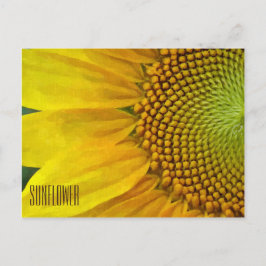 Cartão Postal Cartão-postal horizontal girassol