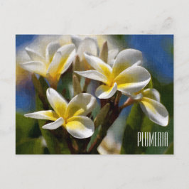 Cartão Postal Cartão-postal Horizontal Plumeria