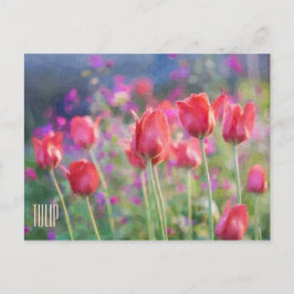 Cartão Postal Cartão-postal Horizontal Tulips