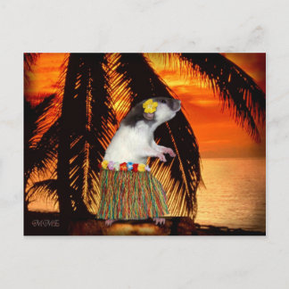 Cartão Postal Cartão-postal Hula Honey