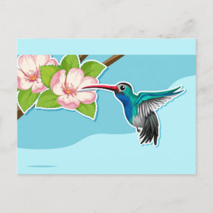Cartão Postal Cartão-postal Hummingbird