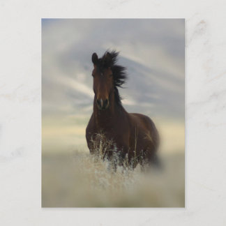 Cartão Postal Cartão-postal Icônico