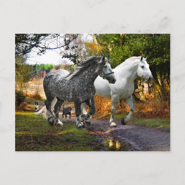 Cartão Postal Cartão-postal "In From the Meadow" (Frente)