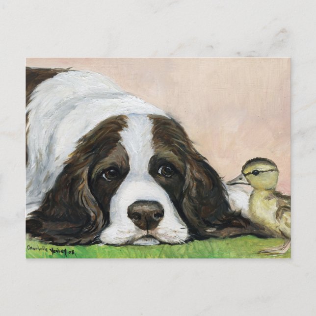 Cartão Postal Cartão-postal inglês Springer Spaniel e Ducking Ar (Frente)
