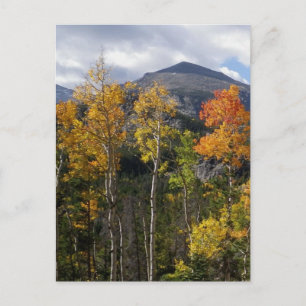 Cartão Postal Cartão-postal Inspiracional Colorado