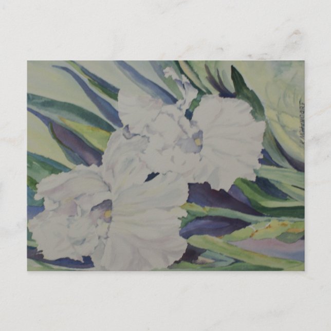 Cartão Postal Cartão-postal Iris (Frente)