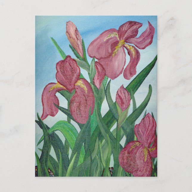Cartão Postal Cartão-postal Iris (Frente)