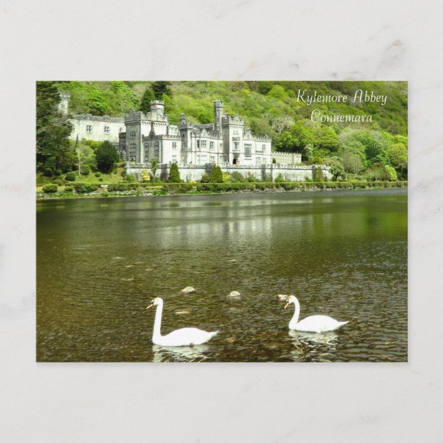 Cartão Postal Cartão-postal irlandês (Frente)