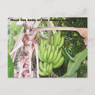 Cartão Postal Cartão-postal jamaicano Banana Man