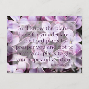 Cartão Postal Cartão-postal Jeremiah 29:11 Lilacs