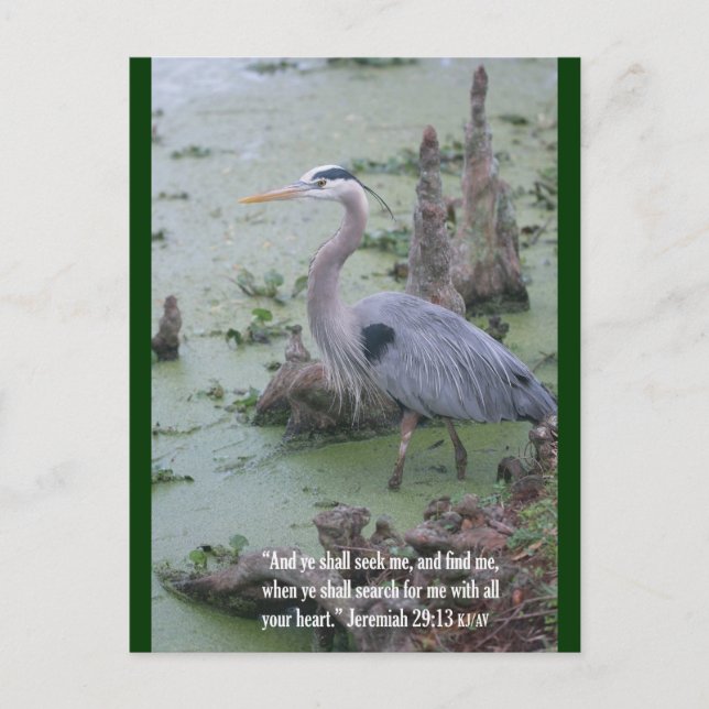 Cartão Postal Cartão-postal Jeremiah 29:13 (Frente)
