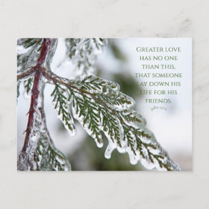 Cartão Postal Cartão-postal John 15:13 Icy Evergreen
