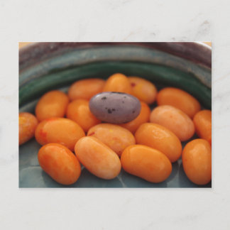 Cartão Postal Cartão-postal John 6:27 Jellybean