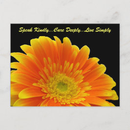 Cartão Postal Cartão-postal Kindly Gerbera