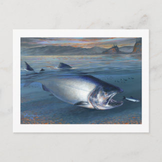 Cartão Postal Cartão-postal King Salmon