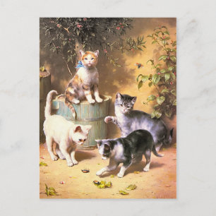 Cartão Postal Cartão-postal: "Kittens Brincando com Besouros"